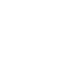 Lorem ipsum dolor sit amet consectetur modo erat